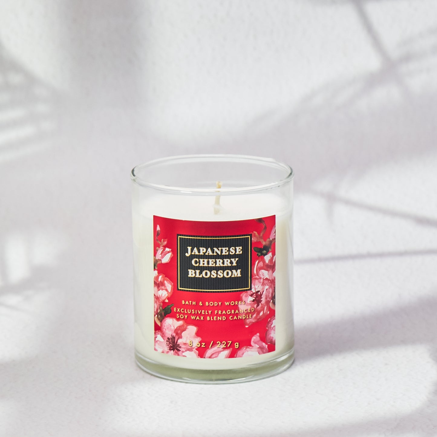 Japanise cherry Blossom